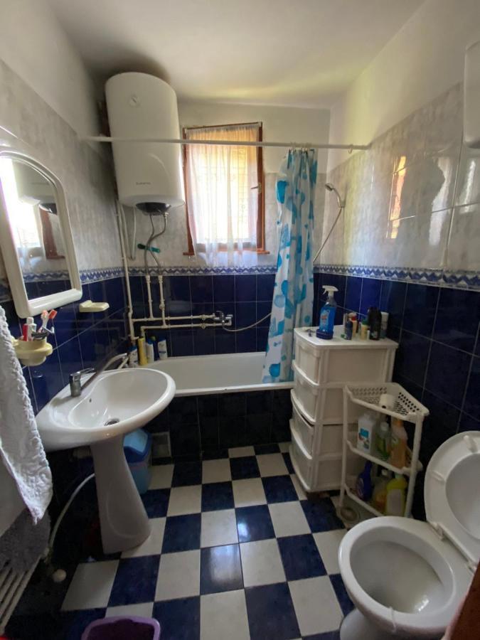 Apartman Zivic Berilovac Kültér fotó
